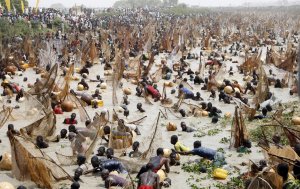 Более 30 000 рыбаков со всех частей Нигерии и соседней западной Африки пытаются поймать рыбу на проходящем рыбацком фестивале. 15 марта 2008 год. Pius Utomi Ekpei/AFP/Getty Images